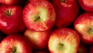 Pomme Fruit Rouge - Free video on Pixabay