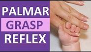 Palmar Grasp Reflex Reaction Infant Newborn Pediatric Nursing Assessment