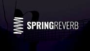 Introducing Spring Reverb: New Plug-in Available for Desktop & iOS