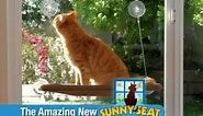 The AMAZING Sunny Seat cat bed! As Seen On TV