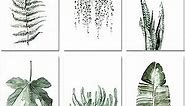 Plant Prints Unframed Posters Wall Art for Living Room Decor, 8x10 Poster Canvas Prints Set of 6, Botanical Prints Wall Art Leaf Posters Sage Green Decor