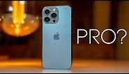 Apple iPhone 13 Pro 9 Months Later - Was It Really PRO?