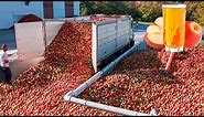 How Apple Juice Is Made In Factory | Modern Fruit Juice Making Technology | Food Factory