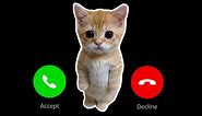 APPLE RINGTONE IPHONE #pro EP.3 #iphone #cat