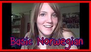 Norway - The Basic Language