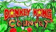 Donkey Kong Country (GBA) - 101% Longplay (No Damage)