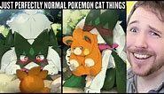 PERFECTLY NORMAL CUTE POKEMON CAT THINGS - Pokemon Memes