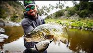 Murray Cod fishing in the Severn River