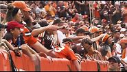 Why am I a Cleveland Browns fan? Watch this video to get reminded