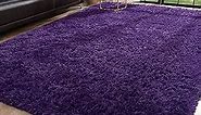 Toneed Fluffy Area Rug for Bedroom Living Room, 4 x 6 Feet Grape Purple Shaggy Rug Super Soft Modern Indoor Rug Fuzzy Plush Carpet for Dorm Nursery Kids Room Home Decorative