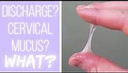 What's Cervical Mucus? The Cervical Mucus Project