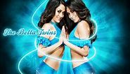 WWE The Bella Twins New Official Theme Song 2009-2010 CDQ