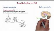 Consolidation theory of long-term memory