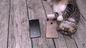 Xerxes Reviews The iPhone XS Max