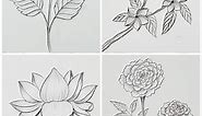 Let's learn easy way to draw beautiful flowers