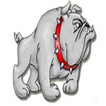 Brighton High School - Roster