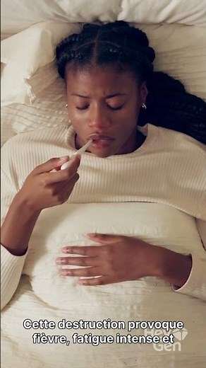 Tout savoir sur le Paludisme