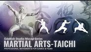 Introducing our Mocap Motion product - "Martial Arts - Taichi."