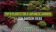 Top 8 Plants for a Japanese Garden // Zen Garden Ideas 🌸🌿