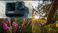 15x Macro Lens on the GoPro Hero 9 Black - Capturing Wide Angle Macro Photos and Videos with GoPro!