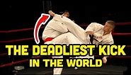 The Most Deadliest Kick in Karate (Kyokushin Wheel Kick)