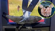 A 17-Year-Old Faces Charges For Allegedly Taping Fish To ATM Machines Around Utah