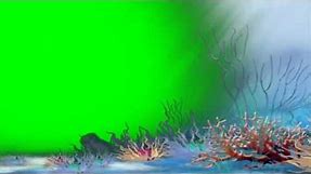 under water world - green screen effect