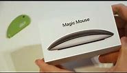 Apple Black Multi-Touch Magic Mouse Unboxing