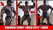 Brandon Curry Full Physique Update/ Posing Video 1 Week Out + Brandon Hendrickson Leaves Coach +MORE