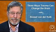 Bessel van der Kolk on three Ways Trauma Can Change the Brain