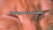 two types of cat videos | Heinrich Sibelius