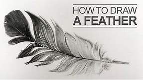 How to Draw a Feather