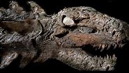 10 Most AMAZING Fossil Discoveries Ever Made!