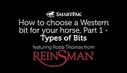 How to choose a Western bit for your horse, Part 1 - Types of bits