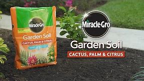 How to Use Miracle-Gro® Garden Soil for Cactus, Palm & Citrus