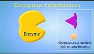 Enzyme Inhibition (Competitive vs. Non-Competitive/Allosteric)