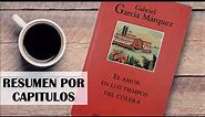 EL AMOR EN LOS TIEMPOS DEL CÓLERA, por Gabriel García Márquez. Resumen por Capítulos