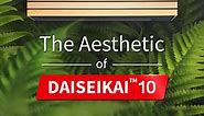 The Aesthetic of DAISEIKAI™ 10