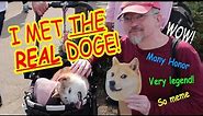 I MET THE REAL DOGE!! Meeting Kabosu on Doge Day