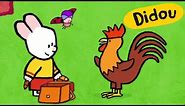 Coq - Didou, dessine-moi un coq | Dessins animés pour les enfants , plus 🎨 ici ⬇⬇⬇