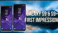 Samsung Galaxy S9 & S9 Plus First Impression. | Pricing in India.