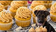 Pupcakes: Cupcakes Your Dog Will LOVE