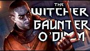 Gaunter O'Dimm's True Purpose - Witcher Lore - Witcher Theories - Witcher Mythology