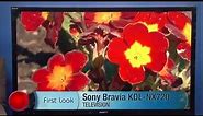 Sony BRAVIA KDL55NX720 55-inch 1080p 3D LED HDTV with Built-in WiFi Review