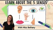 Exploring the World with Your 5 Senses: Science Fun For Kids