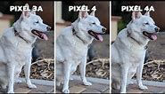Pixel 3a vs Pixel 4 vs Pixel 4a Camera Comparison
