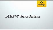 pGEM-T Vector Systems Video