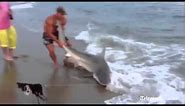 Man wrestles 7ft shark on beach