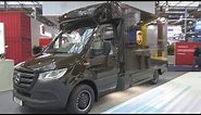 Mercedes-Benz Sprinter Spier UPS Delivery Truck (2019) Exterior and Interior