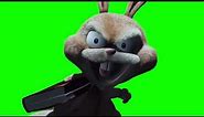 Hoodwinked - Evil Bunny Rabbit Laughing - Green Screen